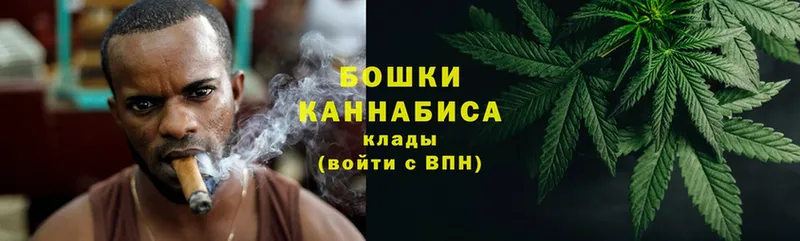 Каннабис SATIVA & INDICA  Болхов 